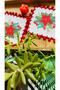 2 decorative poinsettia patterned cocktail coffee side serving napkins - 3