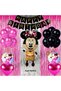 Minnie Mouse Concept Birthday Balloon Set Minnie Mouse Theme Party Balloon Set