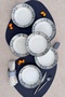 Leon 6-Person 20 cm Special Design Porcelain Pit Dinner Plate Set
