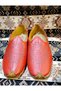 Yemeni (Sandal), Mdel with Laser, Ottoman Yemeni World, Leather Yemeni, Red Color - 4