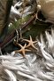 Matte Milk Coffee Color Antiallergic Star Earrings