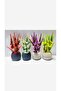 20cm Mini in Pot Garnish Lavender Artificial Plant Decorative Bathroom Kitchen Table Flower - 6