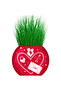Grass Man Love Love 3 Pieces Gift for Lover Concept Valentine's Day Gift - 4