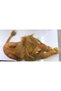 Peluş Aslan Oyuncak 40 cm - 3