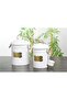 White Metal 2-Piece Laundry Dish Detergent Bucket - 2