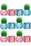 Grass Man 12 Pieces New Generation Boxed Blue Pink Baby Themed Baby Shower Newborn 1 Year Old Birthday P
