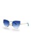 Cat Eye Blue Women's Sunglasses Ae1838c3b3957 - 3
