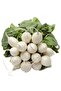 Turp Tohumu - 2