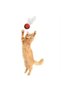 BUFFER® Colorful Straw Feather Play Ball (Catnip) Engaging Fun Educational Pet Play - 4
