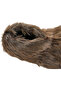 Sevimli Ayı Panduf Terlik - 3