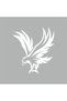 Eagle Car Sticker 19x21 Cm White