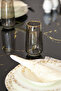 Smoked Gray Gold Gilded Soft Drink Water Glass 6 Pieces