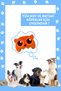 Canahav- Sound-Making Plush Dog Toy Teething Toys Tug and Chase Games - 7