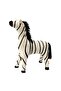 - Ray Zebra
