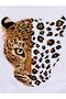 Unisex Leopard Printed Crew Neck Oversize 100% Cotton T-shirt - 2