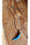 قلادة العظام الزرقاء - 2