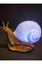 Salyangoz Gece Lambası 3D Model - 4