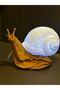 Salyangoz Gece Lambası 3D Model