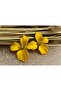 Accessory Colorful Women's Earrings with Flower Motifs - 4