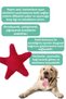 Star Plush Dog Toy Sound-Making Teething Toys Tugging and Chasing Toys - 6