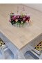 WHITE IMPORTED PVC OIL - PATTERNED REMOVABLE TABLE CLOTH