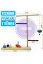 Trendme Wooden Bird Brain Ring Perch (Sultan, paradise, dialogue, etc.) - 3
