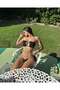 Oliva stone detailed bikini set - 3