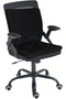 Office Chair Auto Vehicle Seat Lumbar Support Pillow and Cushion Back Cushion and Cushion - Black
