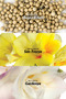 Perceive Kadın Roll On 50 Ml. - 3