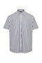 Gri Slim Fit Çizgili Gömlek Kısa Kollu TMNSS24GO00038 - 7