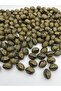 Gold Antique Patterned 20x16mm Almond Bead on Black, Jewelry Bag Accessory Bead (100gr ~40 Pieces)