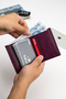 Alex Plum Genuine Leather Unisex Card Holder Wallet - 4