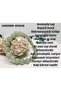 Aventurine Bracelet - Stylish and Comfortable