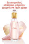 عطر سيليبر للنساء - 50 مل - 2