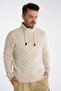 Men's Pipe Collar Hair Braided Knitwear Wool Sweater TRIST-5322 - 3