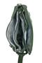 Mini Size Crossbody Young Women's Messenger Bag Handbag - 6