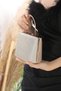 Gold Color Silvery Women's Evening Dress Clutch Portfolio Bag