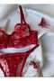طقم حمالة صدر Underwire حمالة صدر بتفاصيل دانتيل