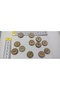 12 pieces of 20 mm.Coconut tree button - 5