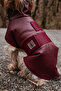Bordox Small and Large Breed Dog Raincoat - 3