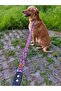 Muertos Dog Harness and Leash Set - 3