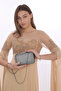 Platinum Color Breast Patterned Evening Dress Portfolio Clutch Women's Handbag and Long Strap Use