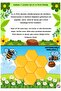 Coding with Animals Training Set - 6