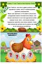 Coding with Animals Training Set - 3