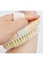Titanium Tip 540 Needle Derma Roller 1 Mm Needle and Horsehair Cellulite Brush - 7
