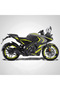 مجموعة ملصقات كاملة مخصصة من Bajaj Pulsar Rs 200 - 3