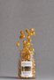 Ginseng Repairing and Renewing Capsule Serum 20 Pieces - 4