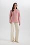 Regular Fit Crew Neck Basic Plain Knitwear Sweater H6905Az23Wn - 2