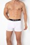 Men's Boxers Cotton Colorful Premium 5 Pack 4000-1 - 3