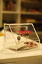 صندوق رصيد التبرع من Plexi Tipbox - 7